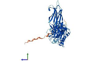 AlphaFold protein structure predicition of Human Recombinant CPNE2 Protein, UniprotID Q96FN4