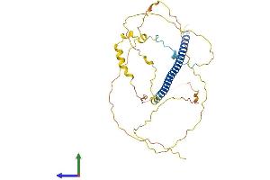 AlphaFold protein structure predicition of Human Recombinant ATF4 Protein, UniprotID P18848