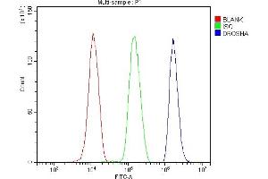 Flow Cytometry analysis of HL-60 cells using anti-DROSHA antibody (ABIN7602279).