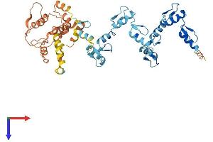 AlphaFold protein structure predicition of Human Recombinant ZNF610 Protein, UniprotID Q8N9Z0