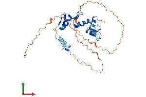 AlphaFold protein structure predicition of Mouse Recombinant Snai2 Protein, UniprotID P97469