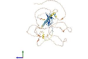AlphaFold protein structure predicition of Mouse Recombinant Runx2 Protein, UniprotID Q08775