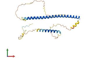 AlphaFold protein structure predicition of Human Recombinant XBP1 Protein, UniprotID P17861