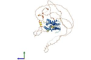AlphaFold protein structure predicition of Mouse Recombinant Tor1aip1 Protein, UniprotID Q921T2