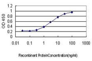 Detection limit for recombinant GST tagged GEM is approximately 0. (GEM anticorps  (AA 1-100))