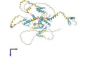 AlphaFold protein structure predicition of Human Recombinant ZNF526 Protein, UniprotID Q8TF50