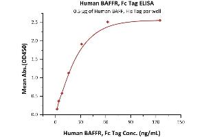 Immobilized Human BAFF, His Tag (ABIN4949073,ABIN4949074) at 5 μg/mL (100 μL/well) can bind Human BAFFR, Fc Tag (ABIN5526588,ABIN5526589) with a linear range of 2-31 ng/mL (QC tested).