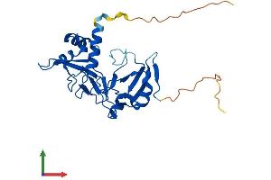 AlphaFold protein structure predicition of Human Recombinant TRPT1 Protein, UniprotID Q86TN4