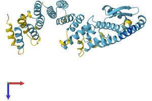 AlphaFold protein structure predicition of Mouse Recombinant Psmd13 Protein, UniprotID Q9WVJ2