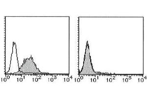 Flow Cytometry (FACS) image for anti-CD274 (PD-L1) antibody (Biotin) (ABIN2853592) (PD-L1 anticorps  (Biotin))