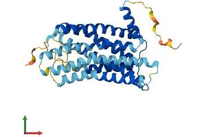 AlphaFold protein structure predicition of Human Recombinant GPR31 Protein, UniprotID O00270
