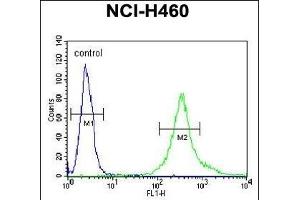LR4 Antibody (C-term) (ABIN651164 and ABIN2840106) flow cytometric analysis of NCI- cells (right histogram) compared to a negative control cell (left histogram). (LPPR4 anticorps  (C-Term))