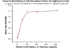 Immobilized Human IL-23A & Mouse IL-12B Heterodimer Protein, His Tag&Tag Free (6) at 2 μg/mL (100 μL/well) can bind Human IL-12 R beta 1, Fc Tag (ABIN6731330,ABIN6809859) with a linear range of 5-78 ng/mL (QC tested). (IL12A & IL27B (AA 20-189) (Active) protein (His tag))