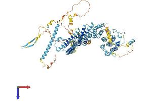 AlphaFold protein structure predicition of Mouse Recombinant Noc3l Protein, UniprotID Q8VI84