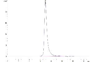 The purity of Human FGFR2 alpha (IIIc) is greater than 95 % as determined by SEC-HPLC.