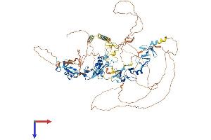 AlphaFold protein structure predicition of Mouse Recombinant Ablim1 Protein, UniprotID Q8K4G5
