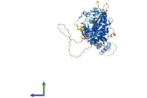 AlphaFold protein structure predicition of Mouse Recombinant Gucy1a1 Protein, UniprotID Q9ERL9