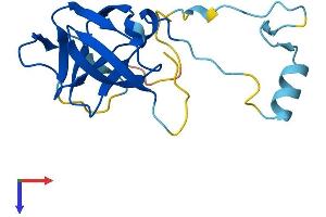 AlphaFold protein structure predicition of Human Recombinant ERVK-7 Protein, UniprotID P63131