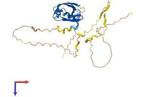 AlphaFold protein structure predicition of Mouse Recombinant Pdzd9 Protein, UniprotID Q9D9M4