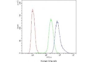 Flow cytometry testing of human SiHa cells with NFATC4 antibody at 1ug/10^6 cells (blocked with goat sera)
