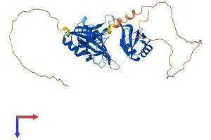 AlphaFold protein structure predicition of Mouse Recombinant Elavl3 Protein, UniprotID Q60900