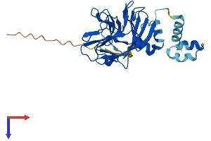 AlphaFold protein structure predicition of Mouse Recombinant Spsb4 Protein, UniprotID Q8R5B6
