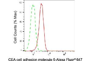Flow cytometric analysis of CEA cell adhesion molecule 5 expression in A549 cells using CEA cell adhesion molecule 5 antibody (ABIN7797875), 1:1,000).