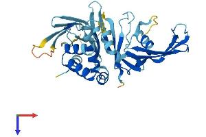AlphaFold protein structure predicition of Human Recombinant C14orf28 Protein, UniprotID Q4W4Y0