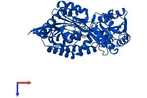 AlphaFold protein structure predicition of Mouse Recombinant Aldh8a1 Protein, UniprotID Q8BH00