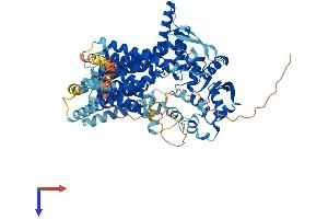 AlphaFold protein structure predicition of Human Recombinant DPY19L2 Protein, UniprotID Q6NUT2