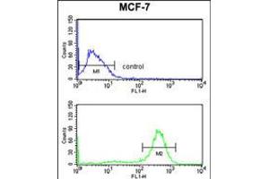 Flow cytometry analysis of MCF-7 cells (bottom histogram) compared to a negative control cell (top histogram). (CHPF anticorps  (AA 327-354))