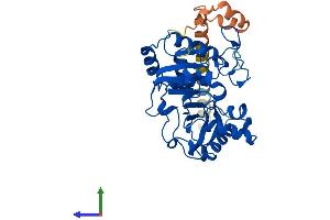 AlphaFold protein structure predicition of Human Recombinant ST8SIA4 Protein, UniprotID Q92187