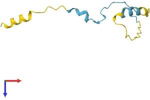 AlphaFold protein structure predicition of Human Recombinant CDC42SE2 Protein, UniprotID Q9NRR3