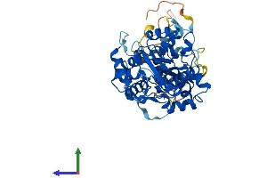 AlphaFold protein structure predicition of Mouse Recombinant Narf Protein, UniprotID Q9CYQ7