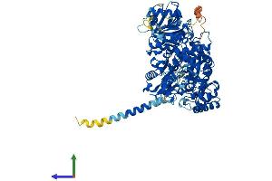 AlphaFold protein structure predicition of Human Recombinant NDST2 Protein, UniprotID P52849