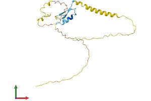 AlphaFold protein structure predicition of Mouse Recombinant Ripply1 Protein, UniprotID Q2WG77