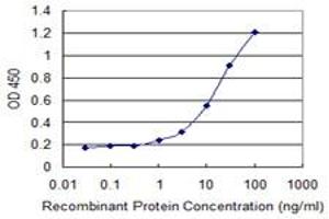 Detection limit for recombinant GST tagged EFEMP2 is 0.