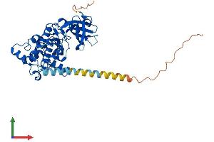 AlphaFold protein structure predicition of Mouse Recombinant Dapk2 Protein, UniprotID Q8VDF3