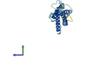 AlphaFold protein structure predicition of Human Recombinant MARVELD1 Protein, UniprotID Q9BSK0