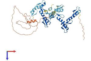 AlphaFold protein structure predicition of Human Recombinant ZNF627 Protein, UniprotID Q7L945