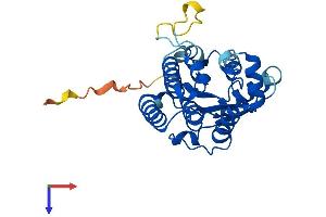 AlphaFold protein structure predicition of Human Recombinant DCK Protein, UniprotID P27707