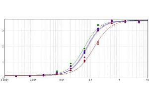 ELISA results of purified Rabbit Anti-Goat IgG Alkaline Phosphatase Conjugated Antibody tested against purified Goat IgG.