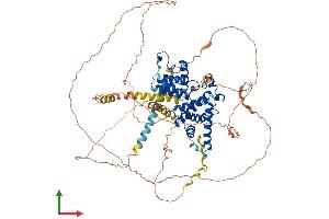 AlphaFold protein structure predicition of Human Recombinant CCNT1 Protein, UniprotID O60563