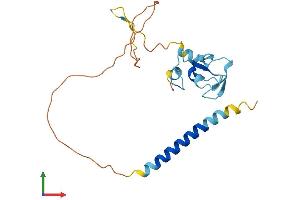 AlphaFold protein structure predicition of Human Recombinant RNF152 Protein, UniprotID Q8N8N0