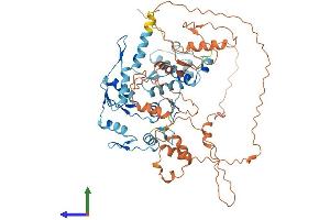 AlphaFold protein structure predicition of Human Recombinant ZNF248 Protein, UniprotID Q8NDW4