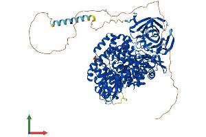 AlphaFold protein structure predicition of Mouse Recombinant Lnpep Protein, UniprotID Q8C129
