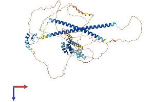 AlphaFold protein structure predicition of Human Recombinant CBFA2T3 Protein, UniprotID O75081