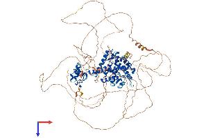 AlphaFold protein structure predicition of Human Recombinant PGR Protein, UniprotID P06401