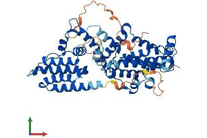 AlphaFold protein structure predicition of Human Recombinant RASGEF1C Protein, UniprotID Q8N431