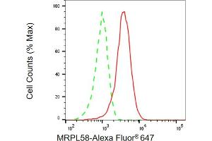 anti-Peptidyl-tRNA Hydrolase ICT1, Mitochondrial antibody